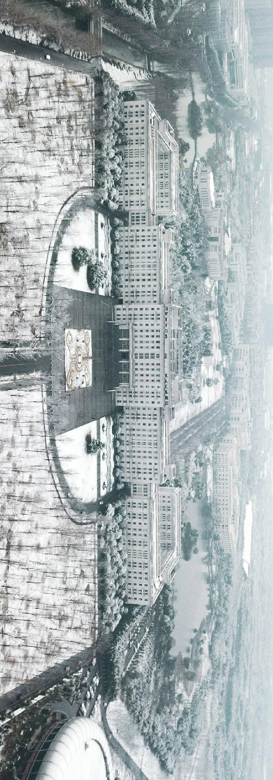 333.jpg 175d9e4889863fe692e55c6fa70e1c72.jpg