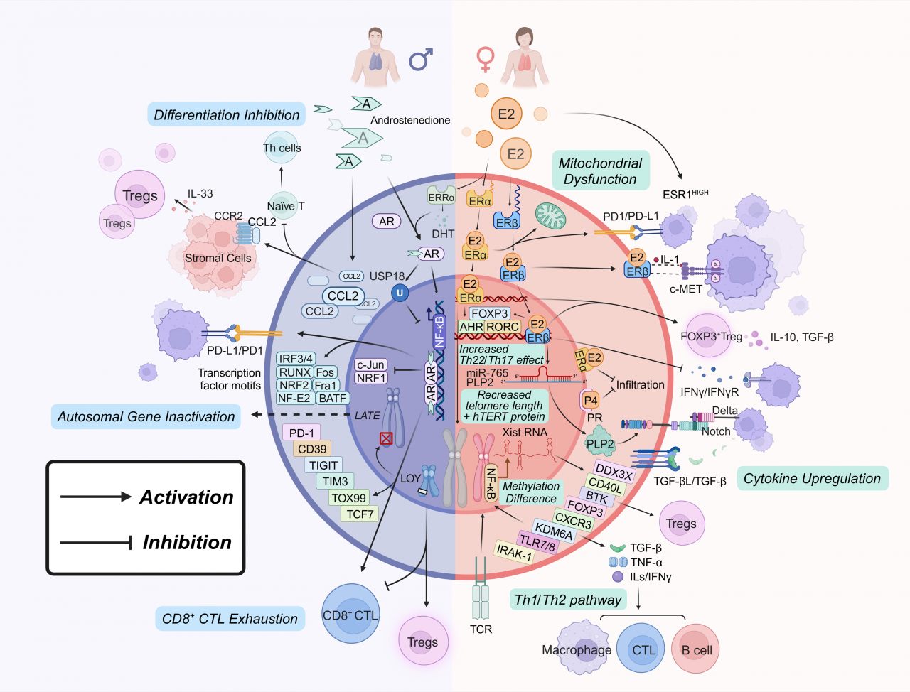 图片4.png 18699b205479cd15ee085e05ef7a02bd_0e1b0.p