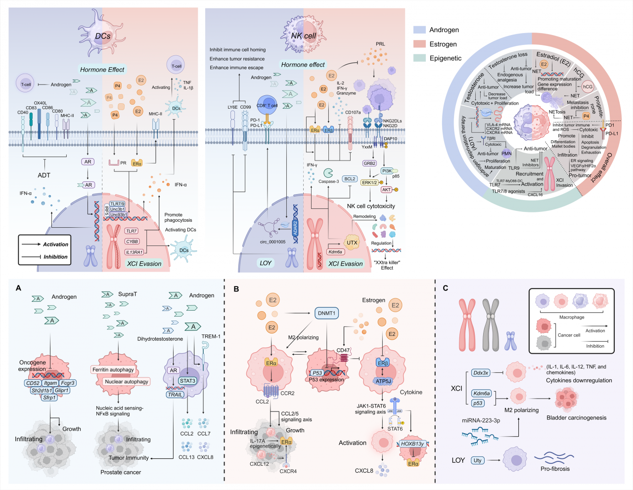 图片1.png 1ce48ee202716ab159eabc5a8df405f0_0e1b0.p
