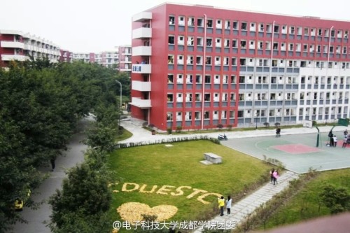 64537_3898089_646121.jpg 1417743834328252.jpg