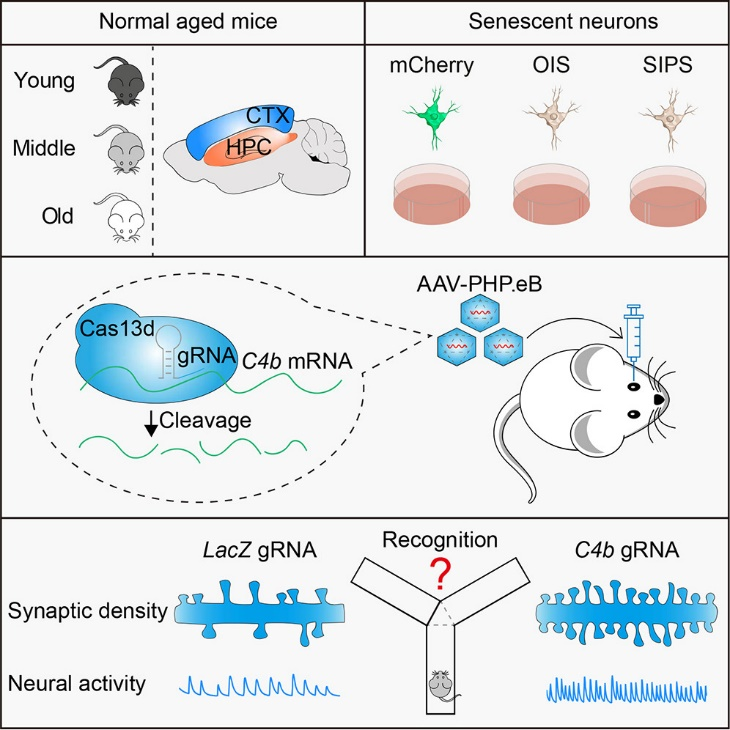 图片2.png 图片2.png