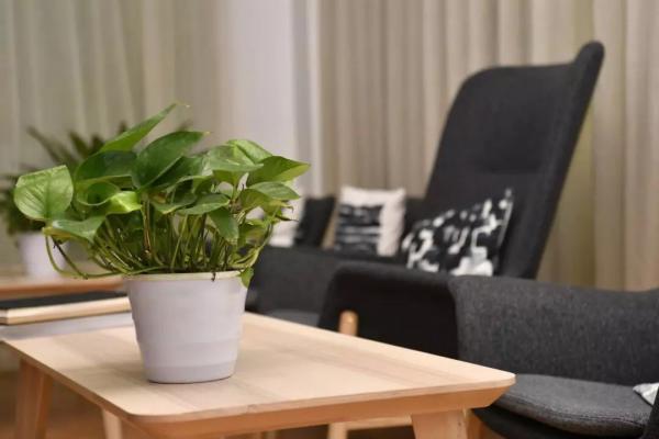 IMG_2718.JPG IMG_2718.JPG