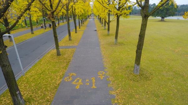 444.jpg 38887b184ce66692ecaeafce5fbdaead.jpg