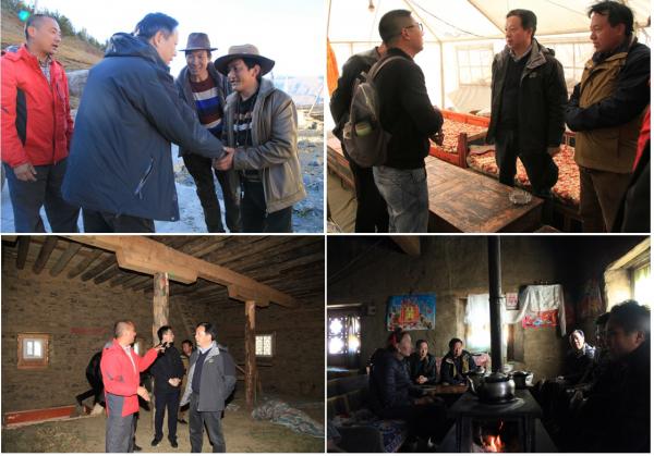 组图1.jpg 组图1.jpg