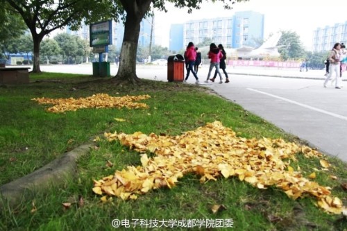 64537_3898080_355198.jpg 1417743834481363.jpg