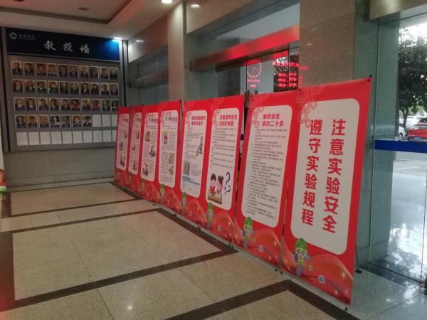 IMG_20181108_173744.jpg IMG_20181108_173744.jpg