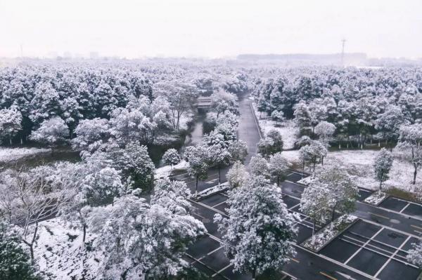 15.jpg 531ccdaf16b44b6ccc1cdb74a2711e4e.jpg