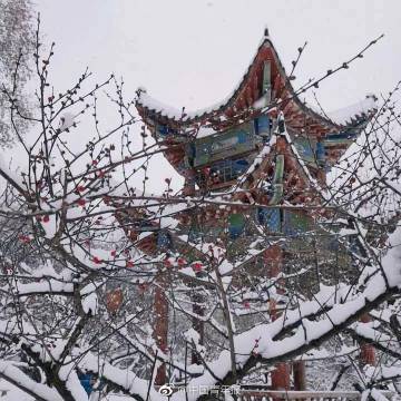 222.jpg 61a34123400e38a217707013b8b2af41.jpg