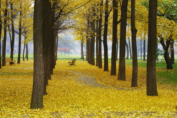 0001.JPG 1413438183389081.jpg