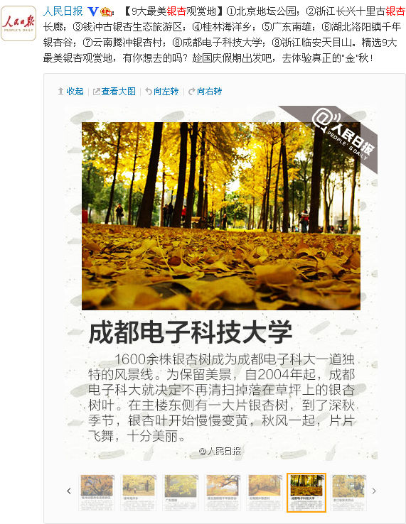 人民日报银杏.png 1413443379668868.png