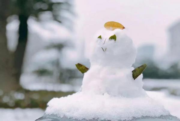 1118.jpg 6e644f7b25e1fefbcbdefee8df26532e.jpg