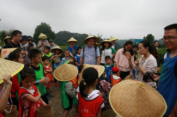 采茶.JPG 7171837f63ca9d3e097804d3b1d9bb02.jpg