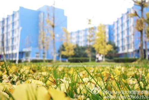 64537_3898072_815861.jpg 1417743834107810.jpg