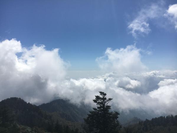 西岭雪山01.jpg 西岭雪山01.jpg