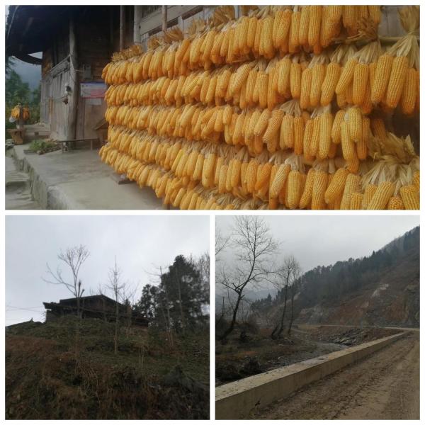 BF8B5F7BA28D581AAAD1383C14A_617CA925_48E BF8B5F7BA28D581AAAD1383C14A_617CA925_48E