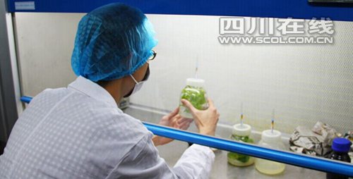 d4bed9d1cbdb15c6e3ab49.jpg 1415581160818454.jpg