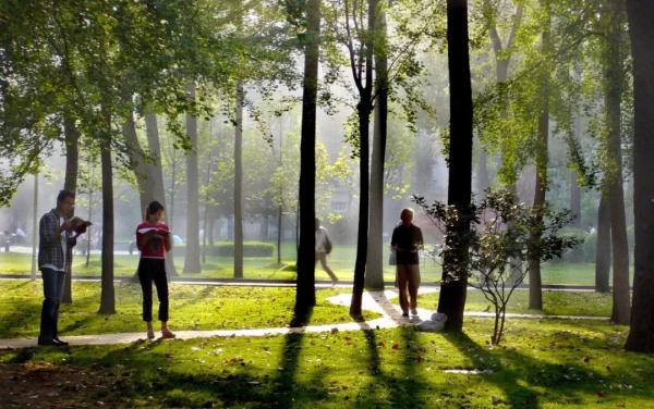 IMG_6931.JPG 7a167167b05c09c53918708c84098883.jpg