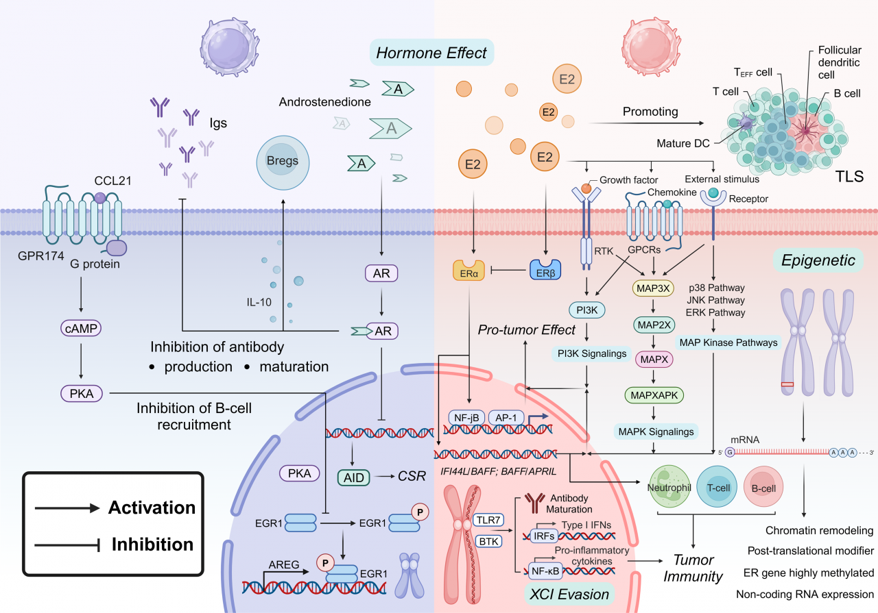 图片3.png 88dbbfc767d7d69795272c458b7187ea_0e1b0.p