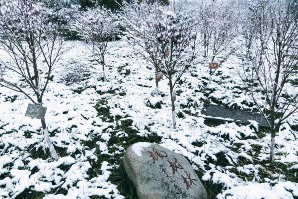 14.jpg 88dbea4dcd7ac50737434b6798470ff5.jpg