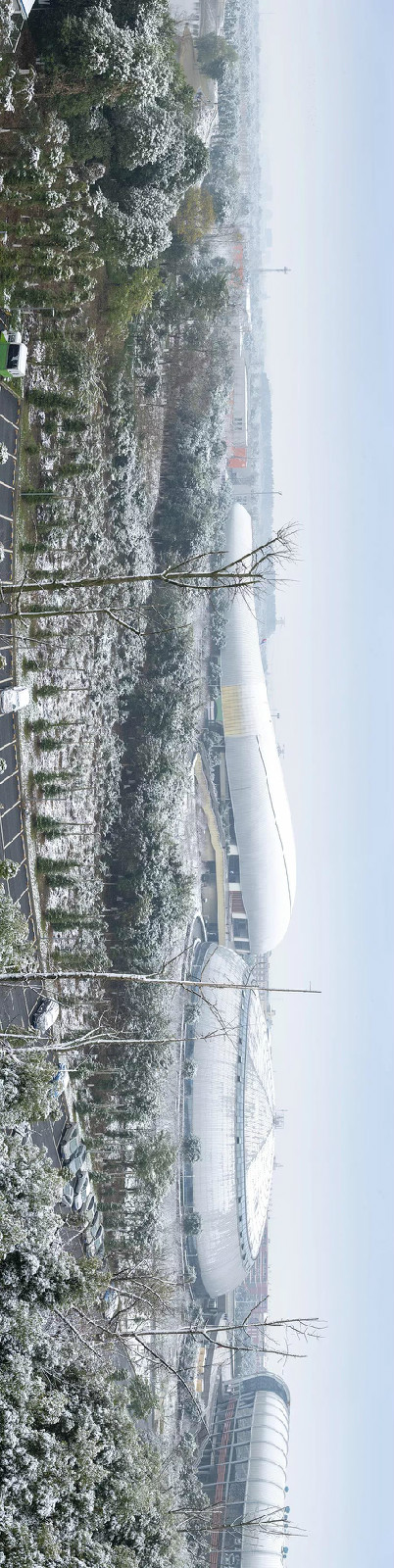 444.jpg 8ec438a34690ba42a4bfd83999de69e8.jpg