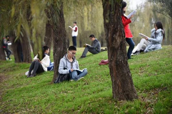 IMG_6932.JPG 937a6f684e1fda3917fd0a2f5beb22c1.jpg