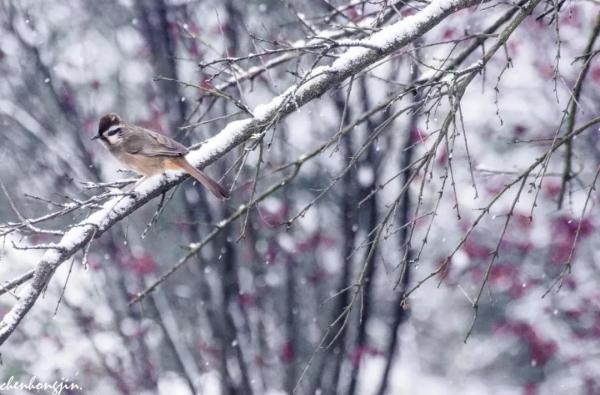 03.jpg b557744dc0796605fbca228a389addfa.jpg