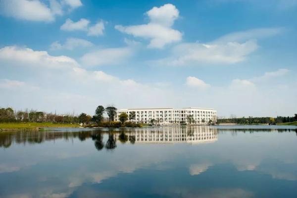 IMG_6905.JPG c6db2c0374e6b3f1c175289359b62a2b.jpg