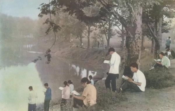 IMG_6930.JPG cd7a476870dec4d3bde2570df0803ca9.jpg