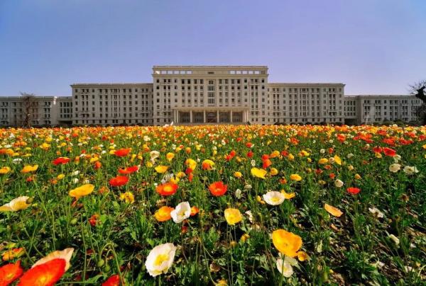 IMG_6902.JPG d019570108a28f40d8eb56a02f43fb89.jpg