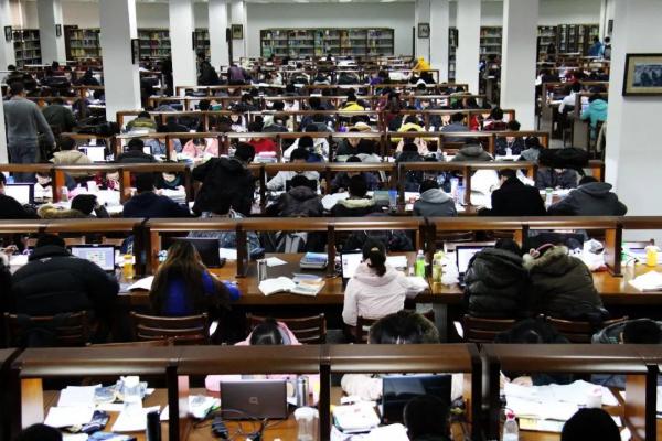 IMG_6913.JPG d2d4cdc099d6c98124b6ba5e99a95168.jpg