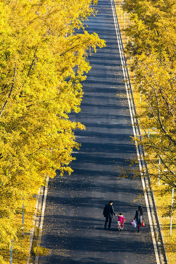 0003.jpg 1413438184114190.jpg