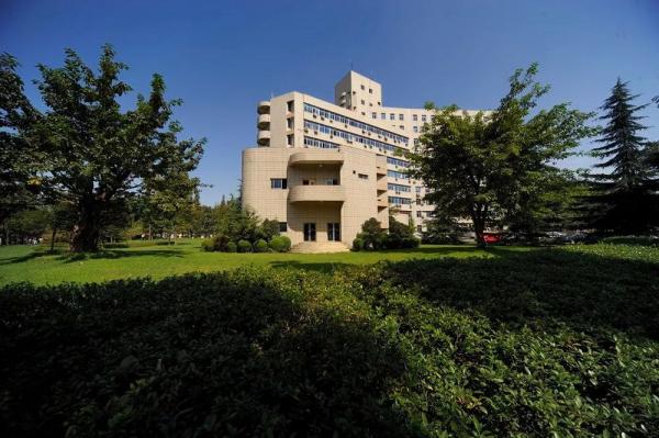 IMG_6899.JPG d5b24db5cab7fcfbff5b0a3629370a20.jpg