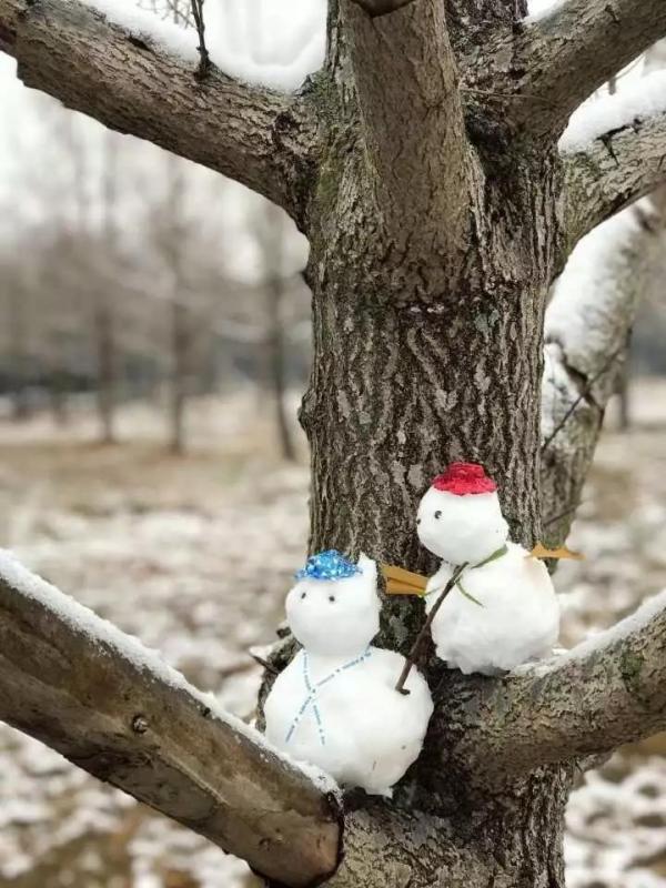 1117.jpg ec2f38d9b15507eac0a070f329d55b24.jpg