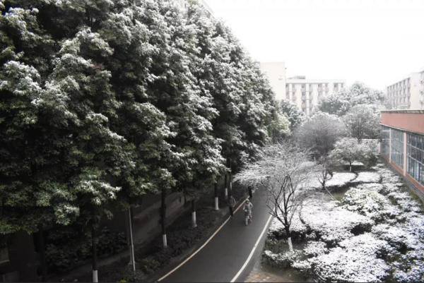 04.jpg f99881213a211afec701cfc36554b09c.jpg